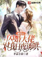 碰瓷后,闪婚大佬对我日夜诱哄